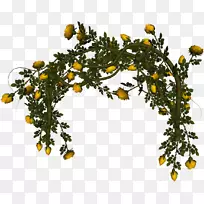 动画花园-空若网 动画花园-空若网