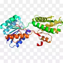 剪贴画有机体人体珠宝人体-空若网 剪贴画有机体人体珠宝人体-空若网