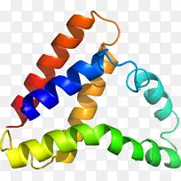 剪贴画系列产品车身首饰-空若网 剪贴画系列产品车身首饰-空若网
