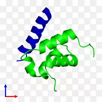 �������ߵ�Ҷ-������