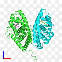 海马剪贴画线叶身首饰.海马-空若网 海马剪贴画线叶身首饰.海马-空若网