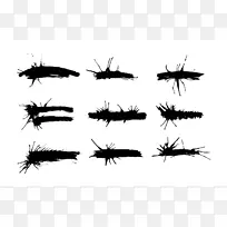 刷黑白昆虫笔画-空若网 刷黑白昆虫笔画-空若网