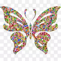 ����������������Ų���-����-������