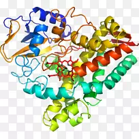 剪贴画有机体线身首饰-空若网 剪贴画有机体线身首饰-空若网