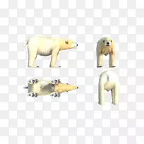 北极熊动物群陆生动物鼻子-北极熊-空若网 北极熊动物群陆生动物鼻子-北极熊-空若网