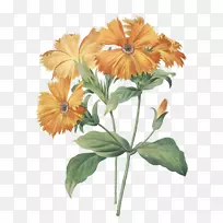 ���ܲ�ͼ�¹Ż滭�����ɫ����-������