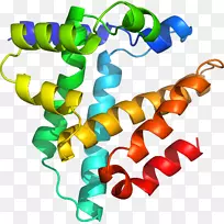 剪贴画有机体线身首饰-空若网 剪贴画有机体线身首饰-空若网
