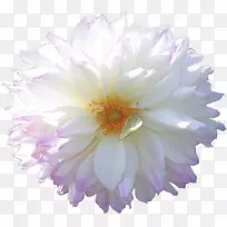 �л����;ջ�-�׻�-������