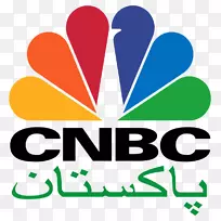 巴基斯坦新闻广播电视频道标志-空若网 巴基斯坦新闻广播电视频道标志-空若网