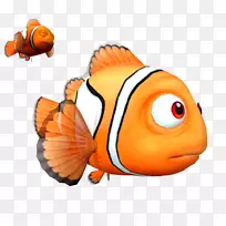 剪贴画海洋生物,鱼类橙色S.A。-空若网 剪贴画海洋生物,鱼类橙色S.A。-空若网