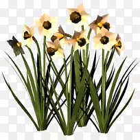 切花剪贴画-PNG-空若网 切花剪贴画-PNG-空若网