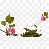 鲜花迎宾蓝玫瑰-PNG-空若网 鲜花迎宾蓝玫瑰-PNG-空若网