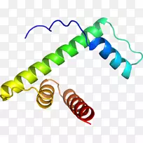 剪贴画线身珠宝人体-空若网 剪贴画线身珠宝人体-空若网