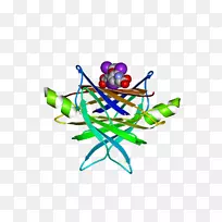 剪贴画有机体线身珠宝-空若网 剪贴画有机体线身珠宝-空若网