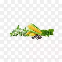 SRG有机食品印度Pvt有限公司红豆汤绿-蔬菜-空若网 SRG有机食品印度Pvt有限公司红豆汤绿-蔬菜-空若网