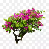 ����ֲ����ͼ��ͼ��洢.xchngͼ��-������