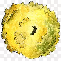 ʥ����ˮ�ʻ���ľˮ����-������