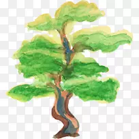 Ë®²Ê».Ë®²Ê»Ê÷-¿ÕÈôÍø Ë®²Ê».Ë®²Ê»Ê÷-¿ÕÈôÍø