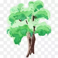 Ë®²Ê»Ê÷֦ˮ²Ê»Ê÷-¿ÕÈôÍø Ë®²Ê»Ê÷֦ˮ²Ê»Ê÷-¿ÕÈôÍø