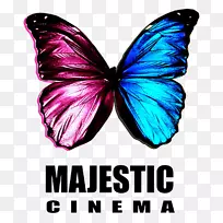 宏伟的电影,国王的林恩电影电视频道-空若网 宏伟的电影,国王的林恩电影电视频道-空若网