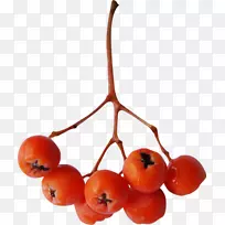 剪贴画png图片图像图形adobe Photoshop-空若网 剪贴画png图片图像图形adobe Photoshop-空若网