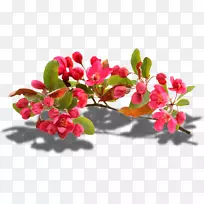 png图片图像设计照片-空若网 png图片图像设计照片-空若网