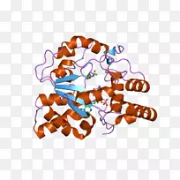 食品剪贴画-空若网 食品剪贴画-空若网