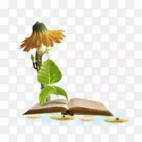 图片花卉中心博客png图片剪辑艺术-花-空若网 图片花卉中心博客png图片剪辑艺术-花-空若网