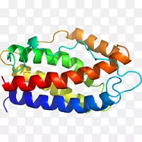 剪贴画线产品橙色S.A。-空若网 剪贴画线产品橙色S.A。-空若网