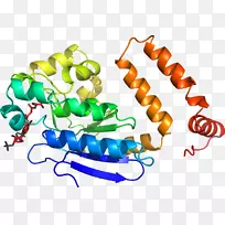 剪贴画有机体线身首饰-空若网 剪贴画有机体线身首饰-空若网