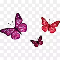 绘画帝王蝴蝶png图片花卉形象绘画-空若网 绘画帝王蝴蝶png图片花卉形象绘画-空若网