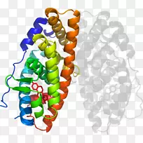 剪贴画有机体线身首饰-空若网 剪贴画有机体线身首饰-空若网