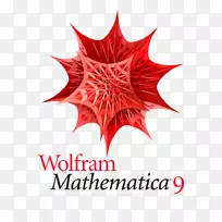 Wolfram�о�Wolfram Mathematica Wolframϵͳ��ģ-��Wolfram����-��ѧ�ĳ�������-������