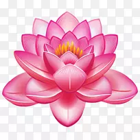 Nelumbo nucifera»¨°£¼°ºÉ»¨¼ôÌù»-Lakshmi-¿ÕÈôÍø Nelumbo nucifera»¨°£¼°ºÉ»¨¼ôÌù»-Lakshmi-¿ÕÈôÍø
