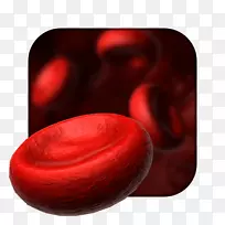 Android应用程序包应用软件移动应用程序GooglePlay-android-空若网 Android应用程序包应用软件移动应用程序GooglePlay-android-空若网