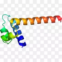 剪贴画线身珠宝人体-空若网 剪贴画线身珠宝人体-空若网
