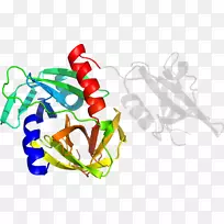 ¼ôÌù»ÓлúÌåÏßÊ¥µ®×°ÊÎÆ·-¿ÕÈôÍø ¼ôÌù»ÓлúÌåÏßÊ¥µ®×°ÊÎÆ·-¿ÕÈôÍø