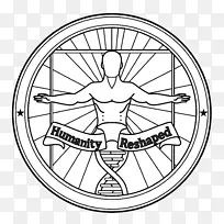 自行车轮子轮辋家具-空若网 自行车轮子轮辋家具-空若网