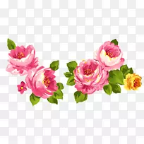 昆虫夏草玫瑰花粉红色花园玫瑰水彩画玫瑰-空若网 昆虫夏草玫瑰花粉红色花园玫瑰水彩画玫瑰-空若网