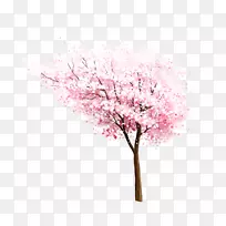 �廨����pngͼƬ����-����-������