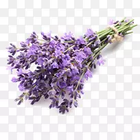 英国薰衣草提取物薰衣草精油薰衣草-空若网 英国薰衣草提取物薰衣草精油薰衣草-空若网