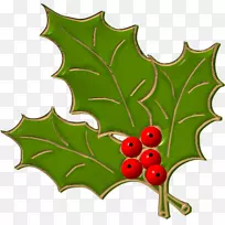 ������pngͼƬ���Ĳ���ʥ����ͼƬ-HOIX-������