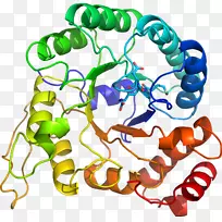 �������л�����������-������