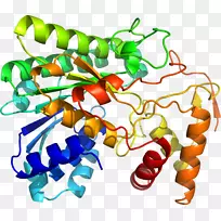 剪贴画有机体线动物-空若网 剪贴画有机体线动物-空若网