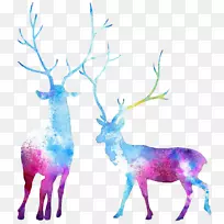 驯鹿麋鹿水彩画.水彩动物-空若网 驯鹿麋鹿水彩画.水彩动物-空若网