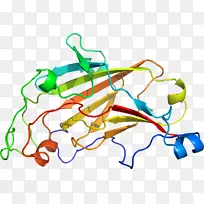 �����߼��������л���-������