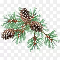 ������������ɼͼ��gif-����-������