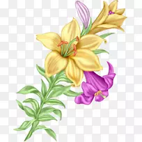 花卉设计花束切花形象-花-空若网 花卉设计花束切花形象-花-空若网