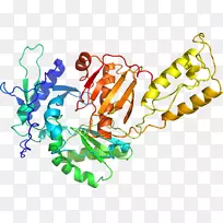 剪贴画有机体线身首饰-空若网 剪贴画有机体线身首饰-空若网