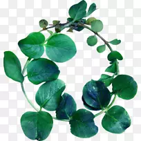 ����ͼƬpngͼƬrgb��ɫģ��adobe Photoshop-����-������